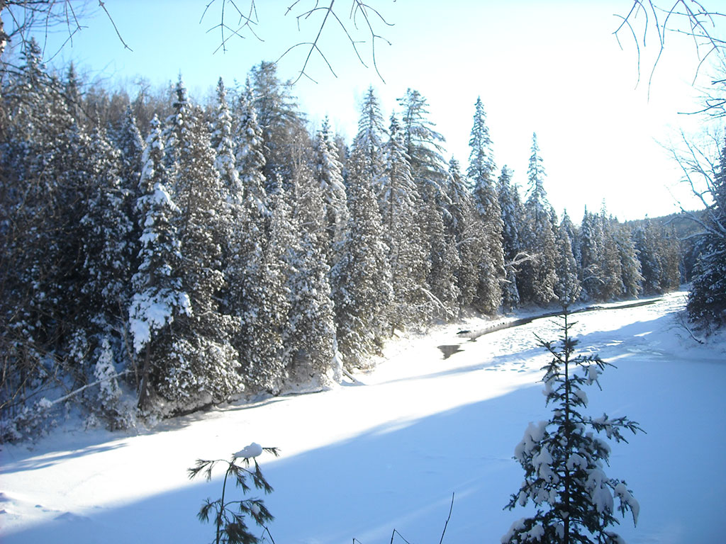 DVN (15)