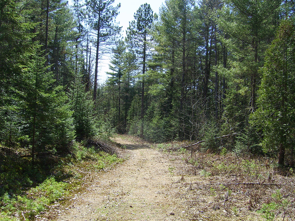 DVN (22)