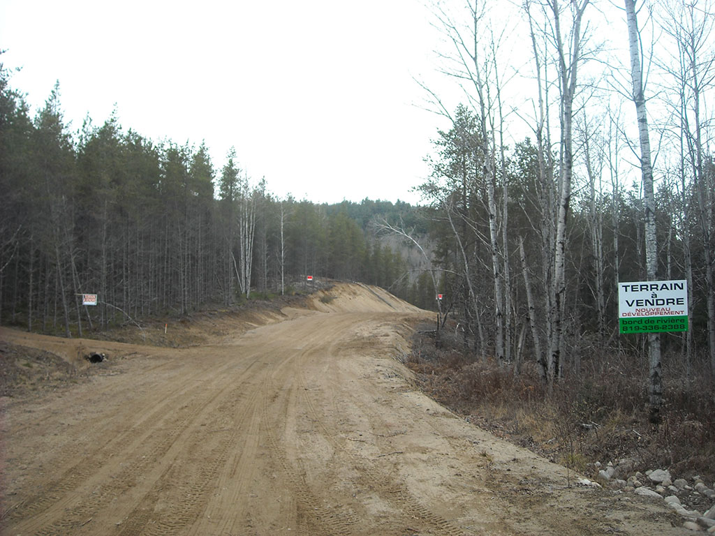 DVN (6)