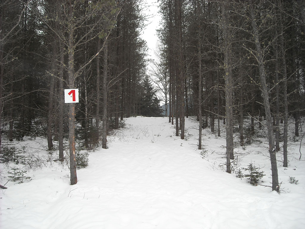 DVN (7)