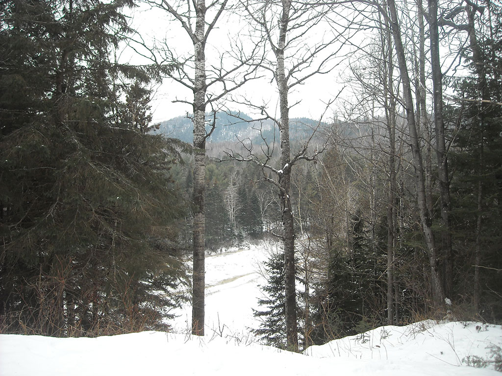 DVN (8)