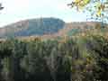 DVN (1)