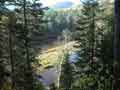 DVN (2)